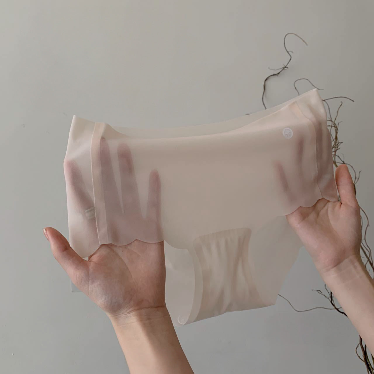 Ice Silk Buttermilk Seamless Panties